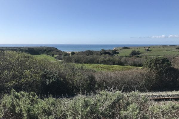 Our Red White And Blue Beach Offer Land Trust Santa Cruz Our Red White And Blue Beach Offer Land Trust Santa Cruz